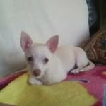 abbynutter - @abb_the_best_jk - Instagram