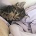 Abigail Oakes - Facebook