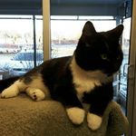 Abbigail Oaks - @its_me_abby.oaks - Instagram