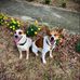 Abby Oden - Facebook