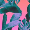 AbbyOgden  - @prettylittlepinklady - TikTok