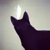 AbbyOhlheiser - @abbyohlheiser - TikTok