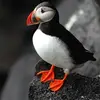 abbyolsen - @puffintalkwithplush - TikTok