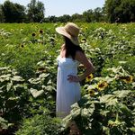 Abby O'Neill - @abby1ill - Instagram