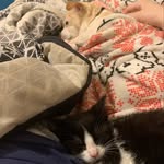 Abby & Honey - @abbyandhoney - Instagram