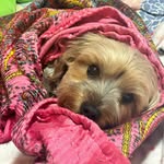 Abby Orr - @sergios_mom12 - Instagram