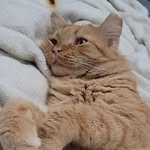 Abby Orr - @aj_cnd428 - Instagram