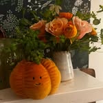 Abby Ostler - @osmom11 - Instagram