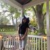Abby Ostrow - Facebook
