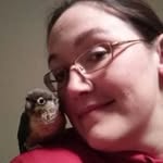 Abbey Ostrowski - @allthebirbs - Instagram