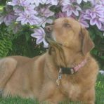 Abby Ostrowski - Facebook