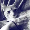 abby.ostrowski340 - @abby.ostrowski340 - TikTok