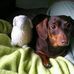 Abbey J Overhulser - Facebook