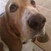 Abby Overholser - Facebook