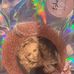 Abby Overton - Facebook