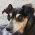 Abby Packer - Facebook
