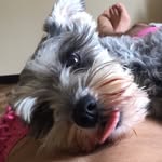 Abby Padilla - @abby_pad - Instagram