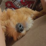 Abby Pagel - @_abby_pagel_ - Instagram