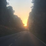 Abby Parish - @abnormal_mindless_thoughts - Instagram