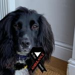 Abby Parr - @abbysparr - Instagram