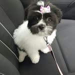 abby paterson - @casey_9323 - Instagram