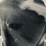 ❤️Abby pease❤️ - @aborble_horse_pics - Instagram