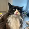 Abby - @abbypedersonn - TikTok