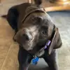 abbygpederson - @abbygpederson - TikTok