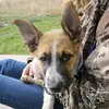 Abby Spell - @abby.spell - TikTok