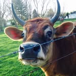 Abby - @abby_spence - Instagram