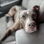 Abby N Barnes-Pence - @barnespence - Instagram