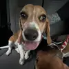abby - @_abby.pepperman_ - TikTok