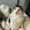 Abbyypepper64209 - @abbyypepper64209 - TikTok