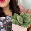 Abby Perales✨📚 - @abby_perales - TikTok