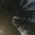 Abby Perkins - @abbyperkins39 - Instagram
