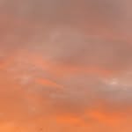abby perrino - @abbyperrino - Instagram