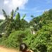 Phấn Ebe - Facebook