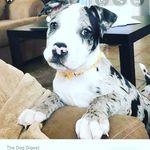 abbigail - @abbypickett495 - Instagram