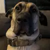 abby.pickle - @abby.pickle - TikTok