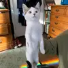 AbbyPickles - @abbypickles10 - TikTok