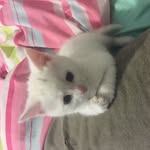 Abby Pinter - @abbywatermelonpinter - Instagram