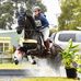 Abby Pinter Equestrian - Facebook