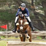 Abby Pinter Equestrian - @abbypinterequestrian - Instagram