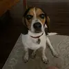 Abby Pettinger772 - @abbypettinger - TikTok