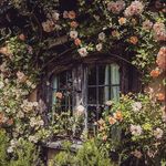 Abbyplace - @abbyplace_ - Instagram
