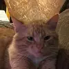 abbysplace09 - @abbysplace09 - TikTok