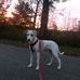 Abby Platt - Facebook