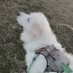 Abby Pollitt - @abby_pollitt_11 - Instagram