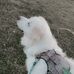 Abby Pollitt - Facebook
