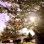 Abby Poore - @_your_perspective_ - Instagram